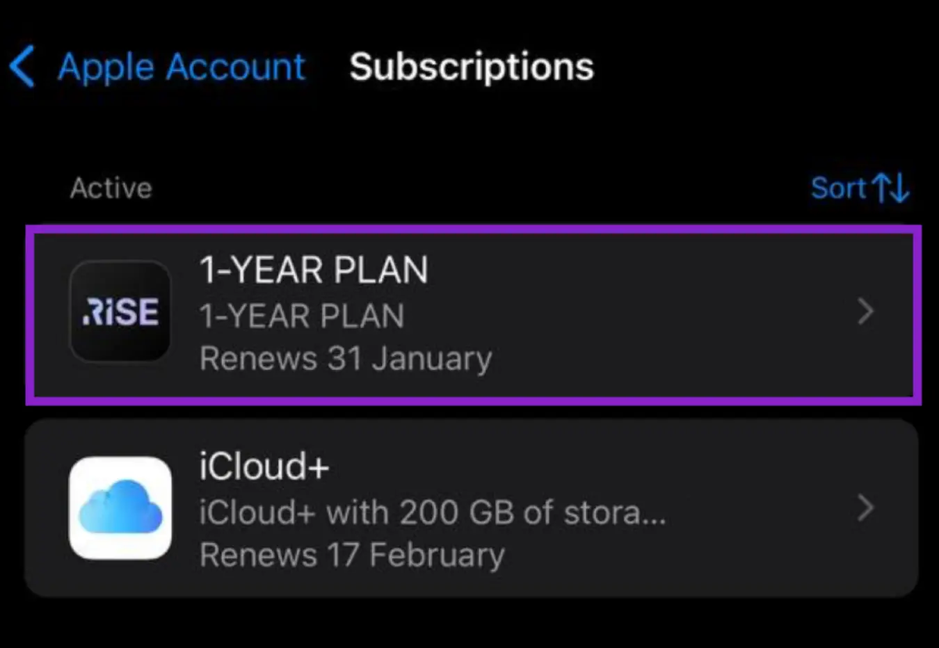 Apple Subscriptions showing RiseGuide plan